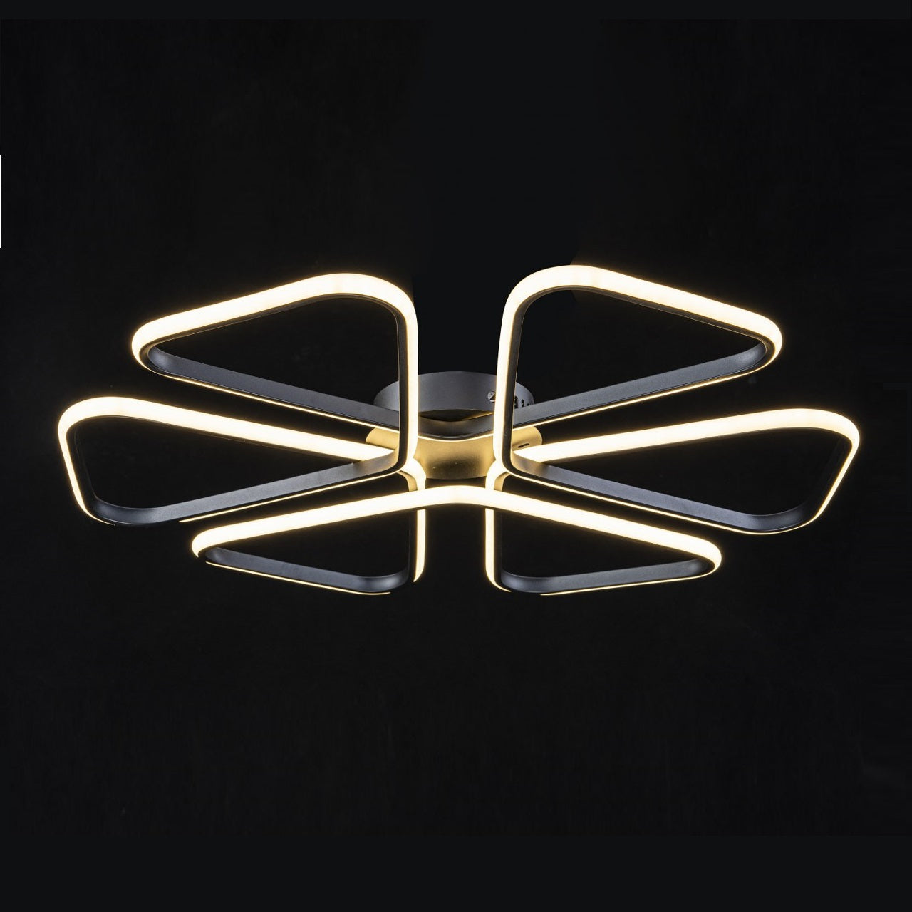 Lámpara de techo LED LOOP Negra | FL6016-C