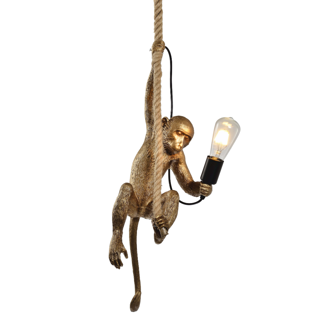 Lampara colgante MONKEY - FL6584-1P