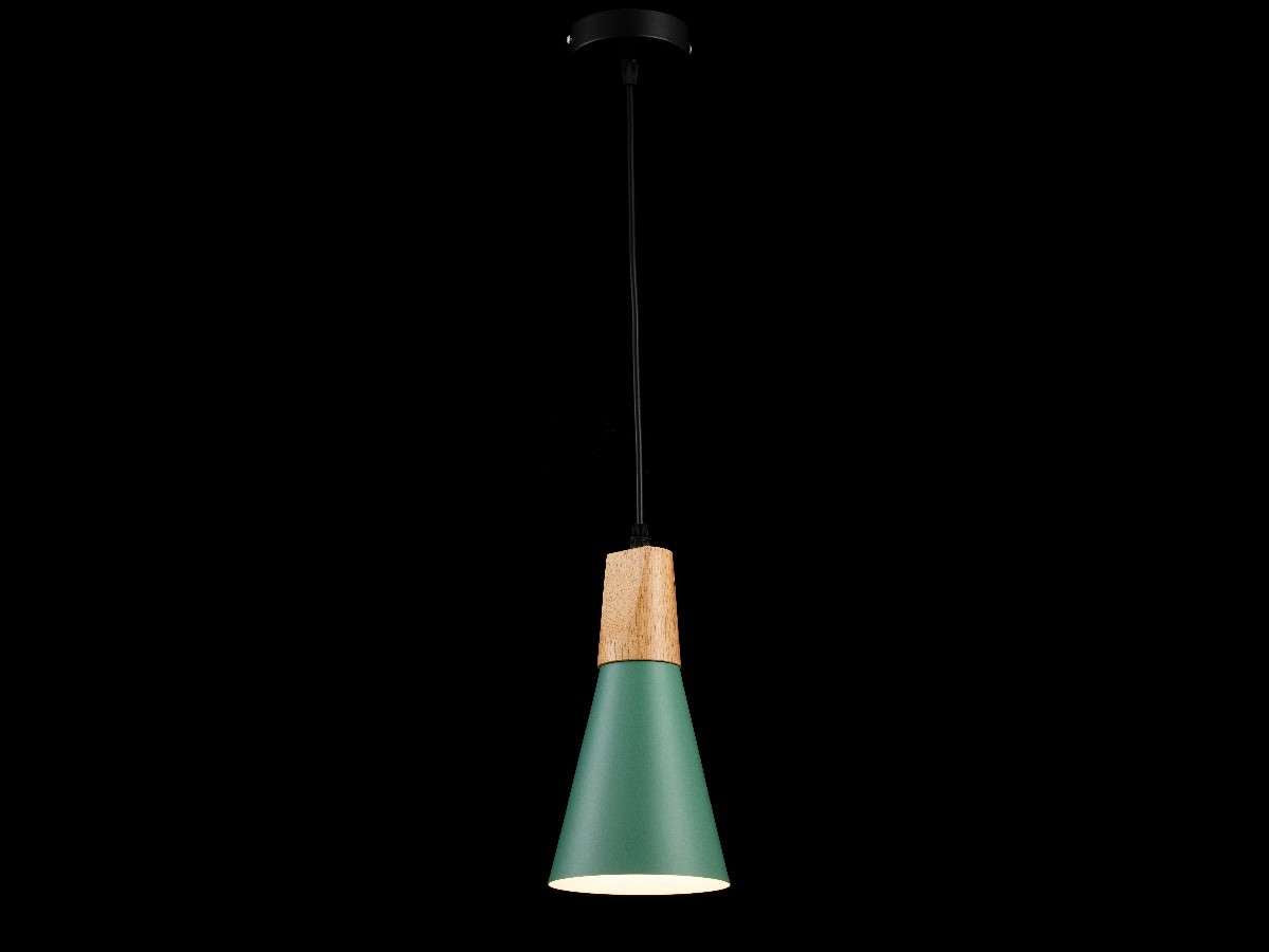 Lámpara colgante SCANDIV LP5018-1P