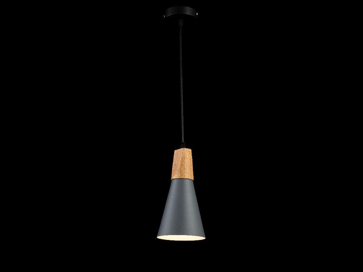 Lámpara colgante SCANDIV LP5019-1P