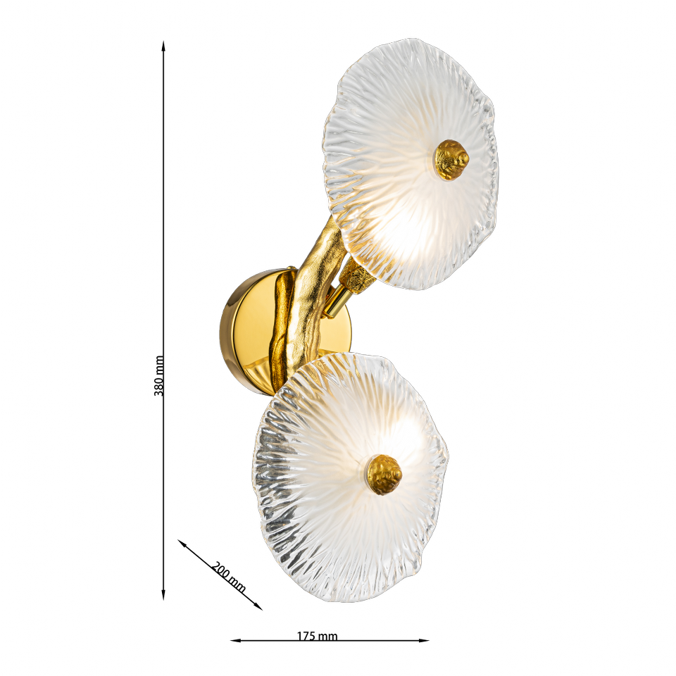 Aplique de pared GRAPEDROP - CLN1005-2W