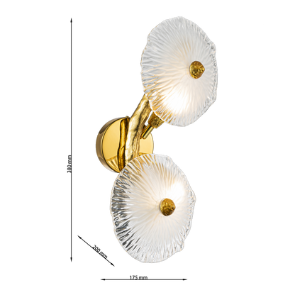 Aplique de pared GRAPEDROP - CLN1005-2W