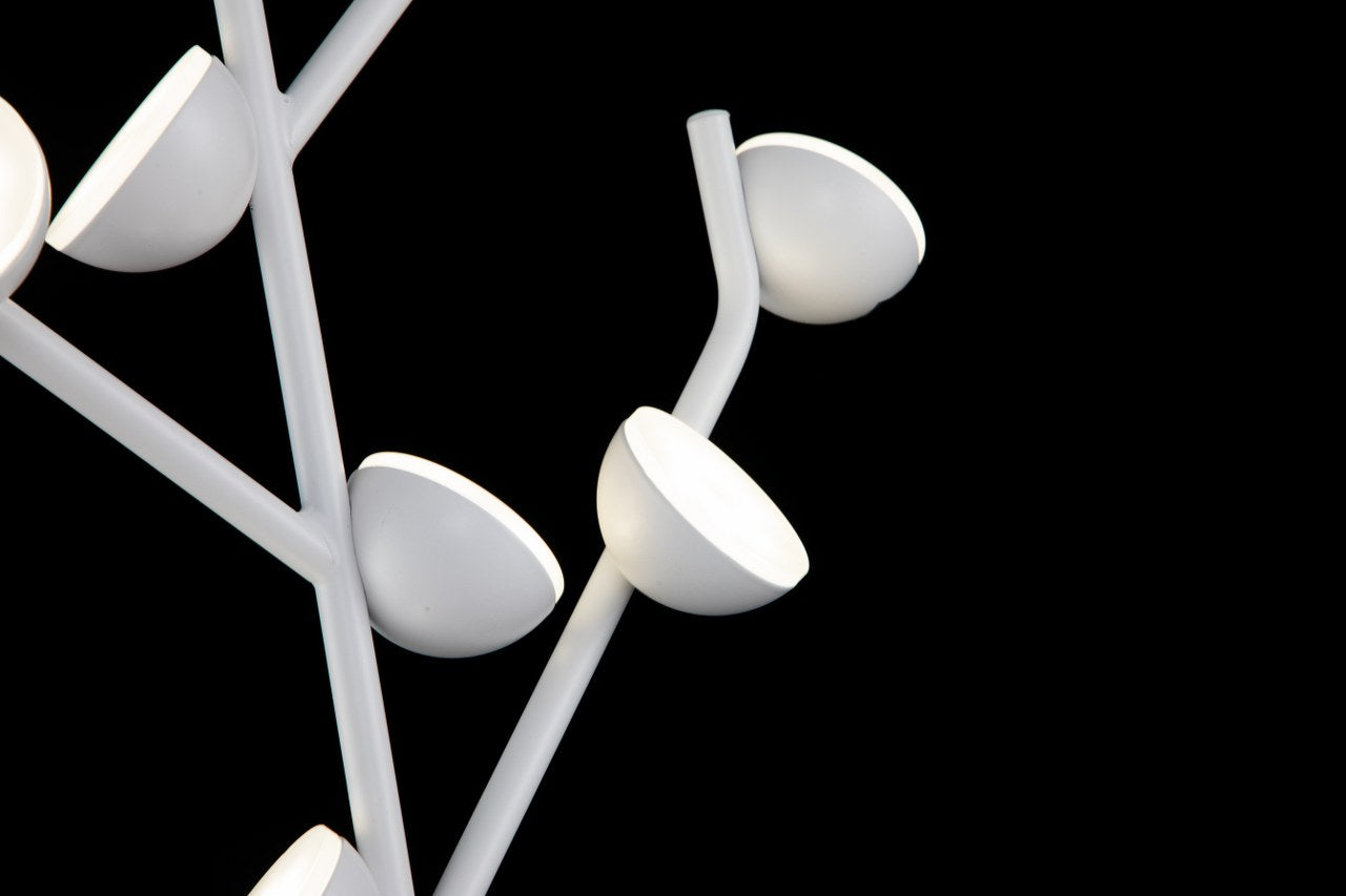 Aplique PAW LP4012-1W