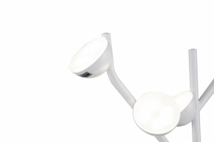 Aplique PAW LP4012-1W