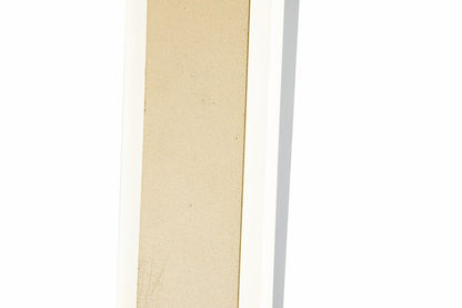 Aplique WALLSHADE LP5030-L40W