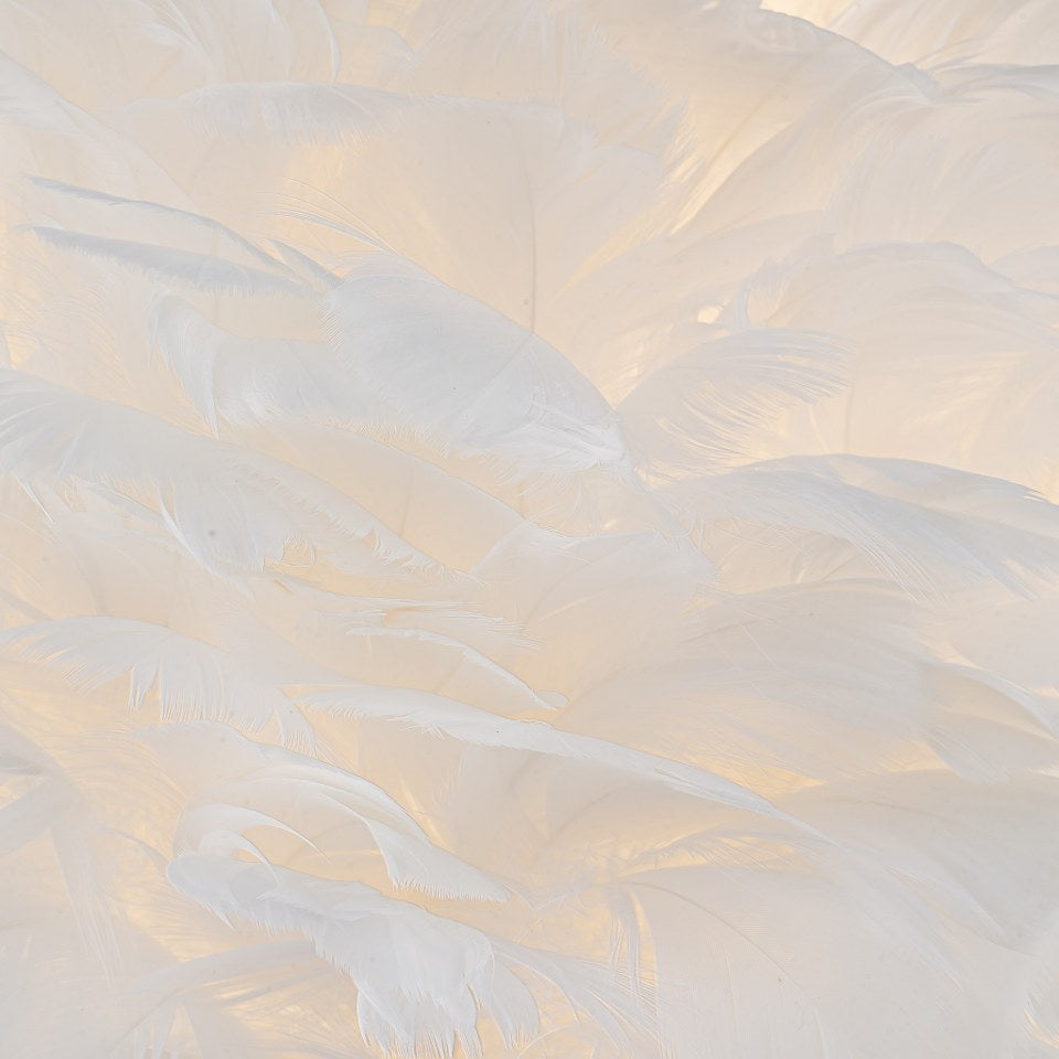 Lámpara De Mesa PLUMA - FL964-1T