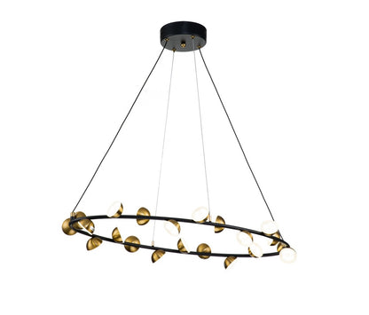 Lámpara colgante PAW LP4013-D70R