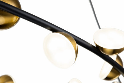 Lámpara colgante PAW LP4013-D70R