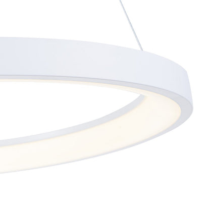 Lámpara Colgante LED Redonda | Negra/Blanca/Dorada CCT | FL6589-D50P