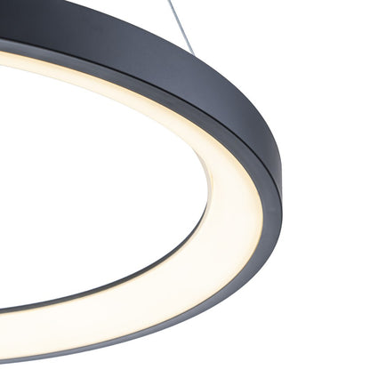 Lámpara Colgante LED Redonda | Negra/Blanca/Dorada CCT | FL6589-D50P