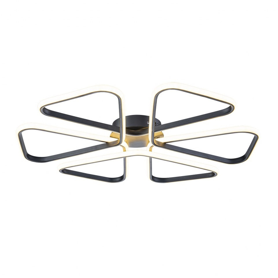 Lámpara de techo LED LOOP Negra | FL6016-C