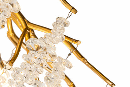 GRAPEDROP  CLN194-L120