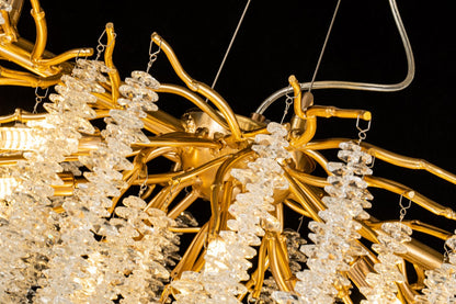 GRAPEDROP  CLN194-L120