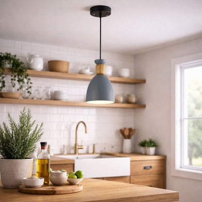 Lámpara colgante MOLIN FL665-1P