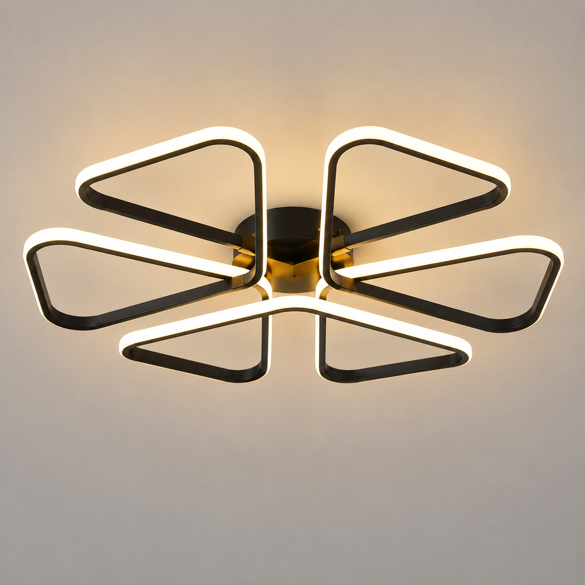 Lámpara de techo LED LOOP Negra | FL6016-C
