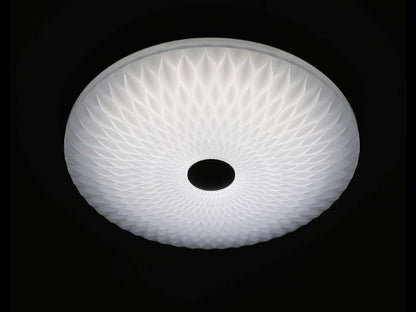 Lámpara de techo STELAR FL410-D50