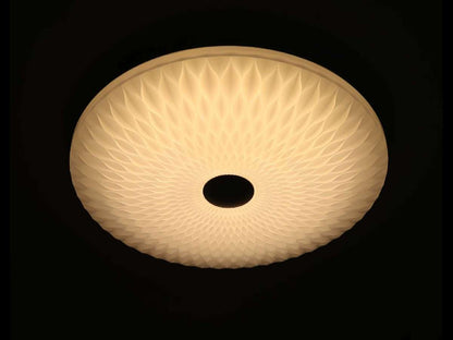 Lámpara de techo STELAR FL410-D50