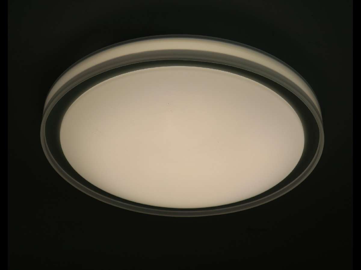 Lámpara de techo SIMPLE FL411-D45