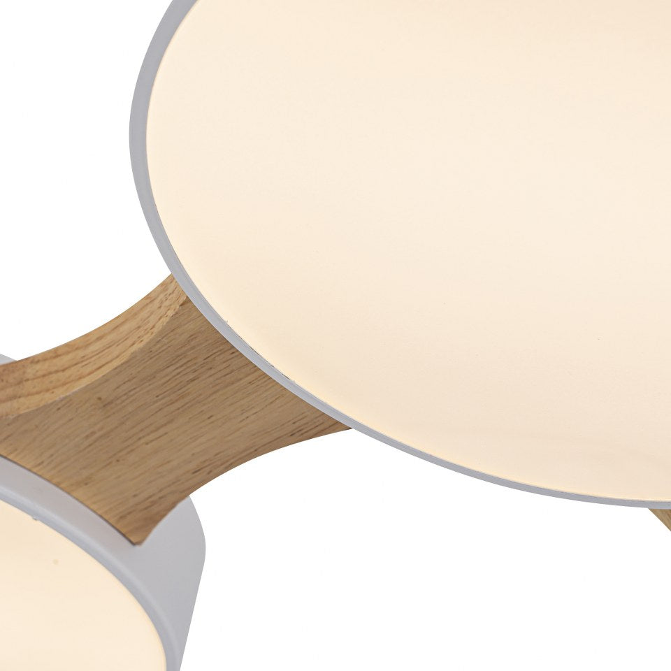 Plafón de Techo LED Nordic - FL638-5