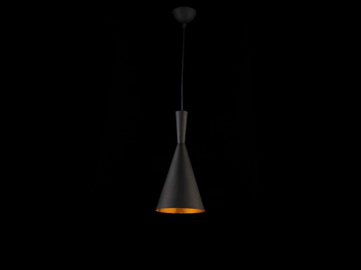 Lámpara colgante AMSTERDAM FL653-1P