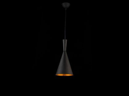 Lámpara colgante AMSTERDAM FL653-1P