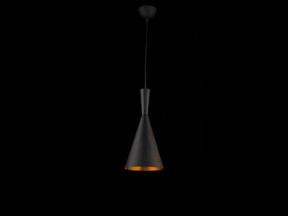 Lámpara colgante AMSTERDAM FL653-1P