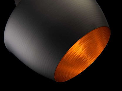 Lámpara colgante AMSTERDAM FL655-1P