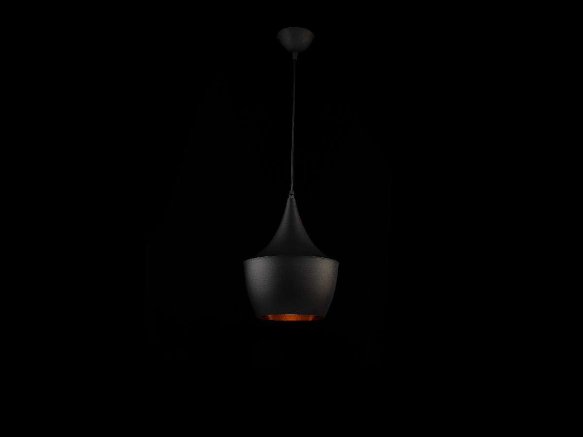 Lámpara colgante AMSTERDAM FL655-1P