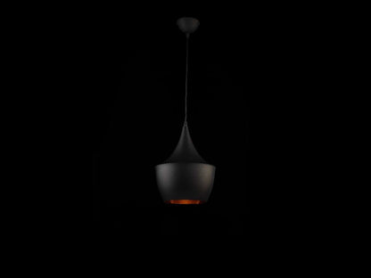 Lámpara colgante AMSTERDAM FL655-1P