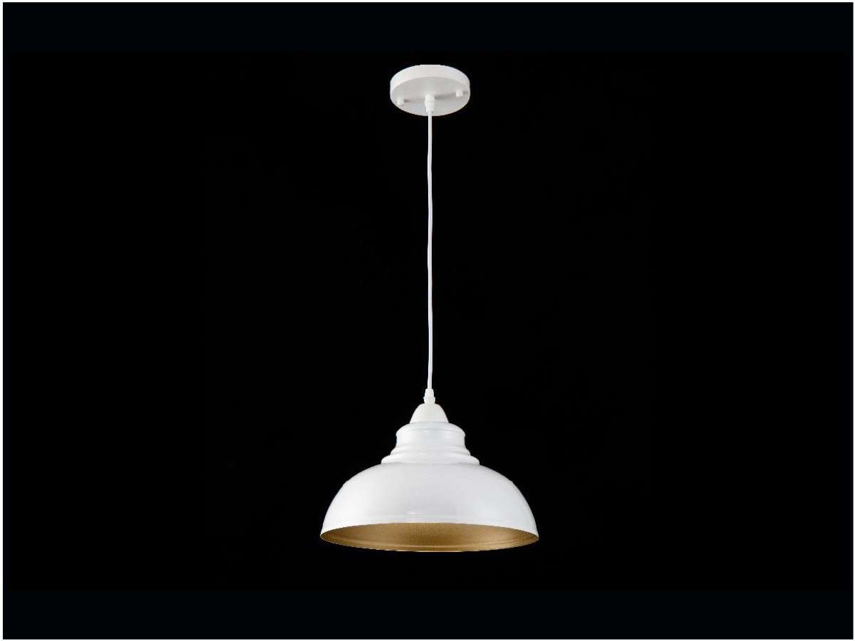 Lámpara colgante OHAMA FL656-1P