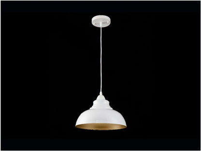 Lámpara colgante OHAMA FL656-1P