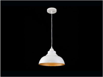 Lámpara colgante OHAMA FL656-1P