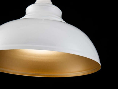 Lámpara colgante OHAMA FL656-1P