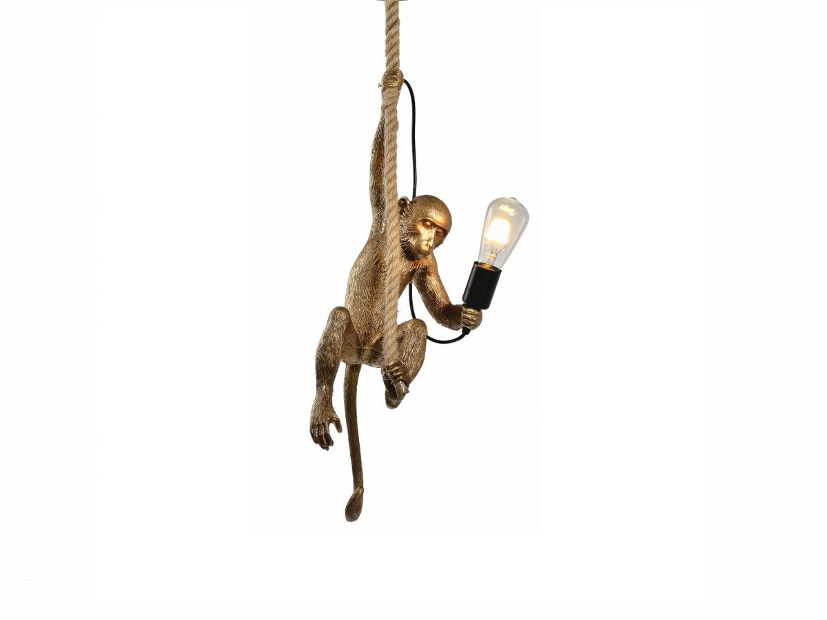 Lampara colgante MONKEY - FL6584-1P