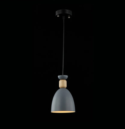 Lámpara colgante MOLIN FL665-1P