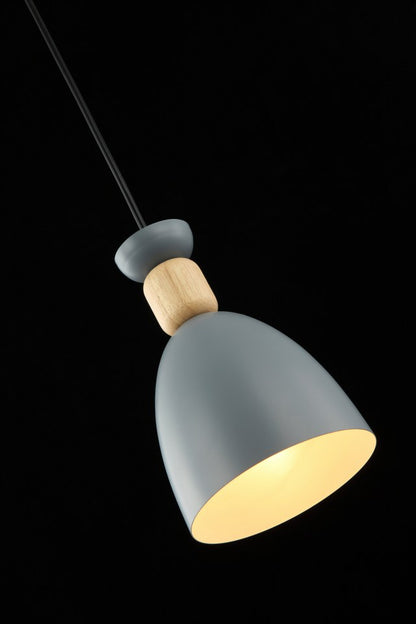 Lámpara colgante MOLIN FL665-1P