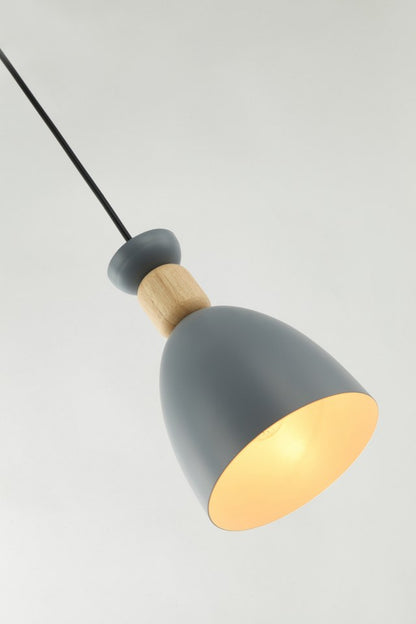 Lámpara colgante MOLIN FL665-1P