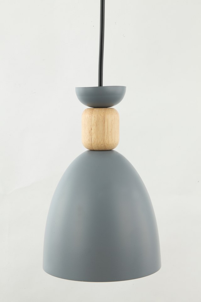 Lámpara colgante MOLIN FL665-1P