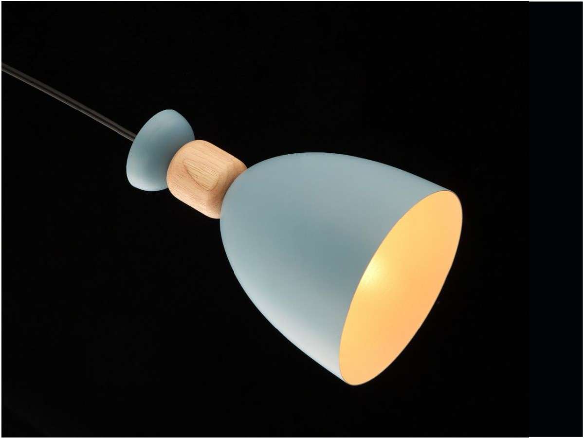 Lámpara colgante MOLIN FL666-1P