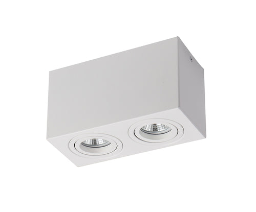 Downlight CUADRO FL803-2C WHITE