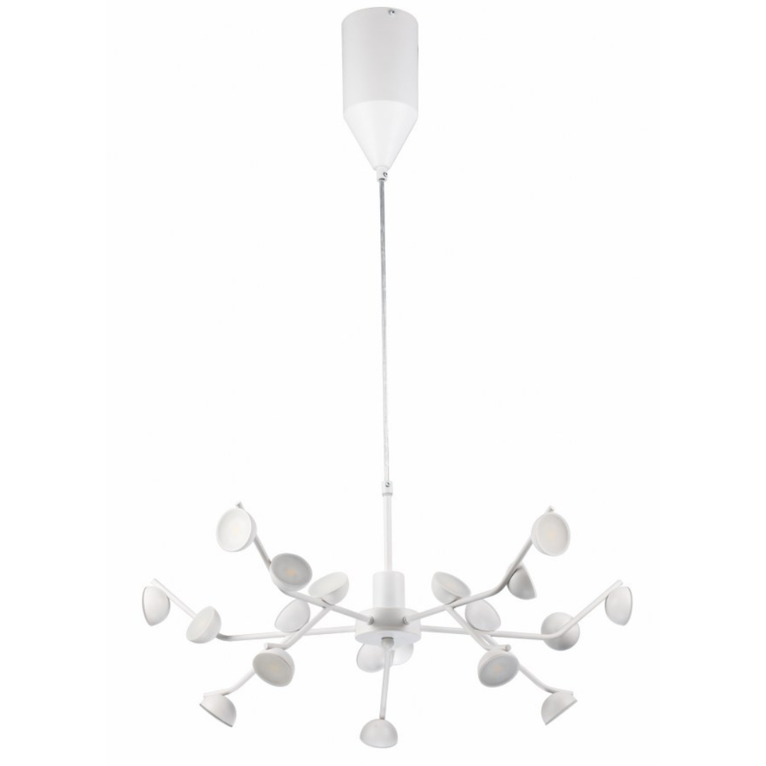 Lámpara de techo PAW LP5008-D70P
