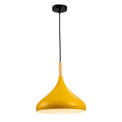 Lámpara colgante BOLIC FL663-1P