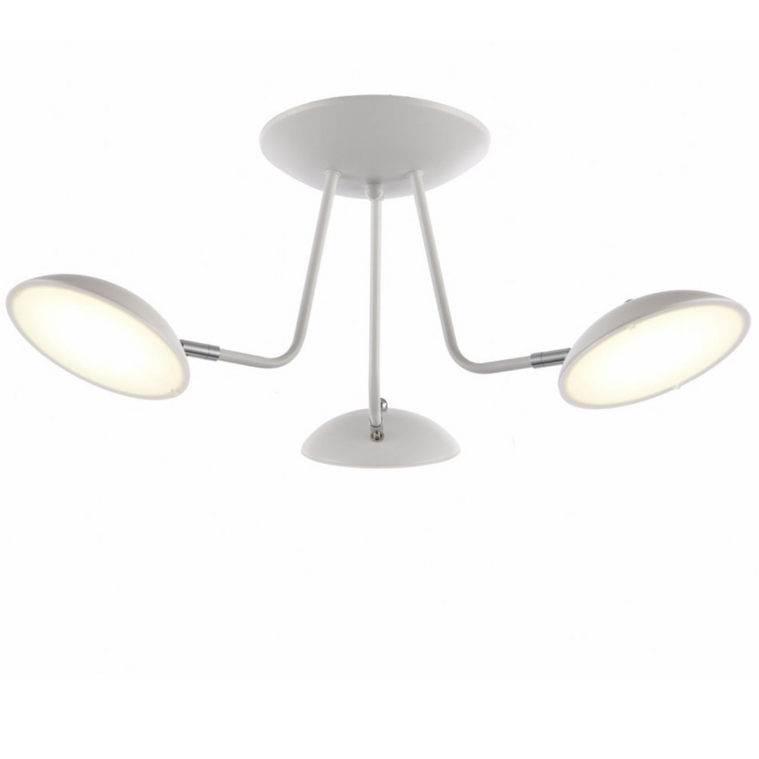 Lámpara LED Orientable Techo Salón NASHVILLE | Blanco 3 Luces