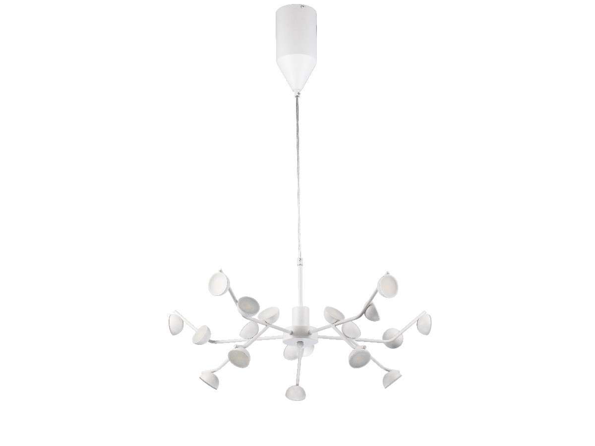 Lámpara de techo PAW LP5008-D70P