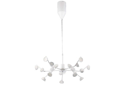 Lámpara de techo PAW LP5008-D70P