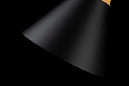 Lámpara colgante SCANDIV LP5020-1P