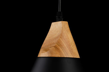 Lámpara colgante SCANDIV LP5020-1P