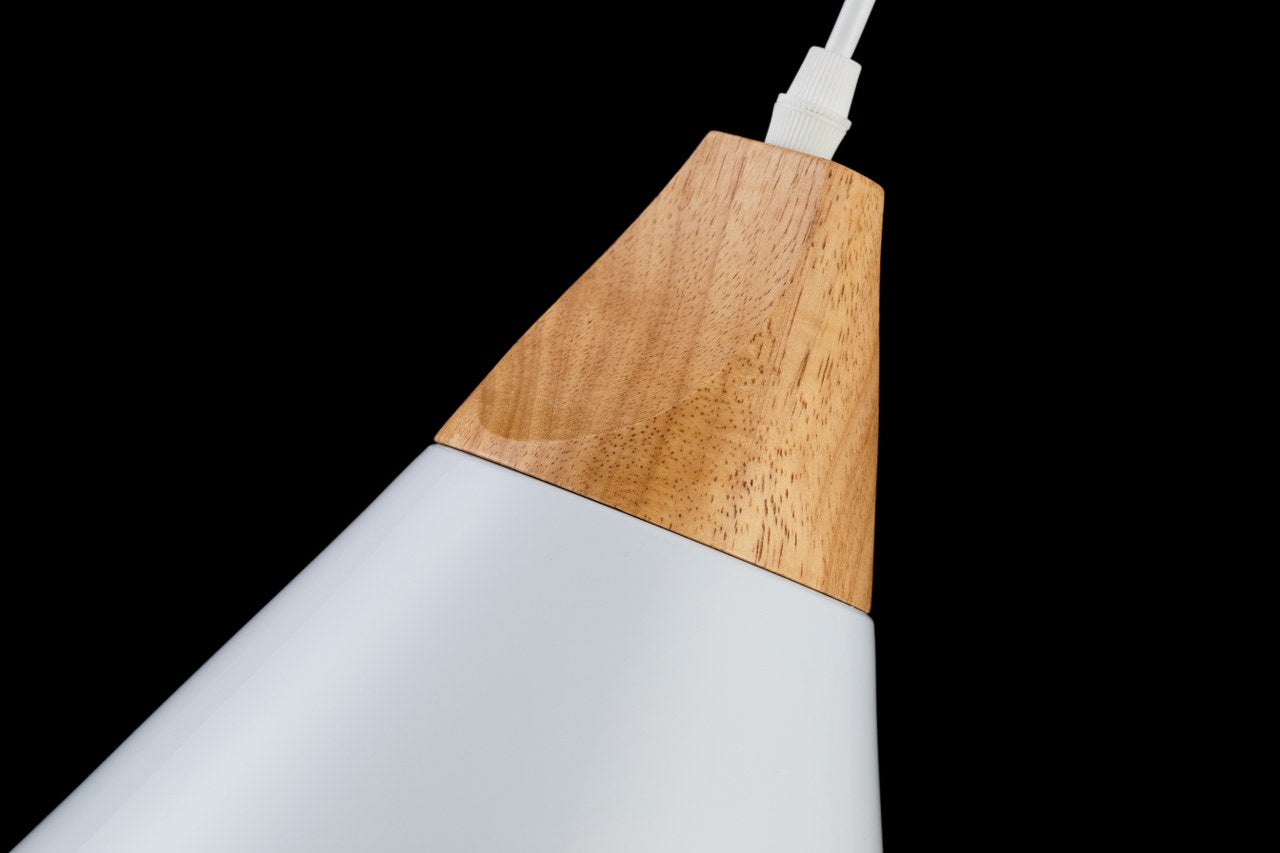 Lámpara colgante SCANDIV LP5021-1P