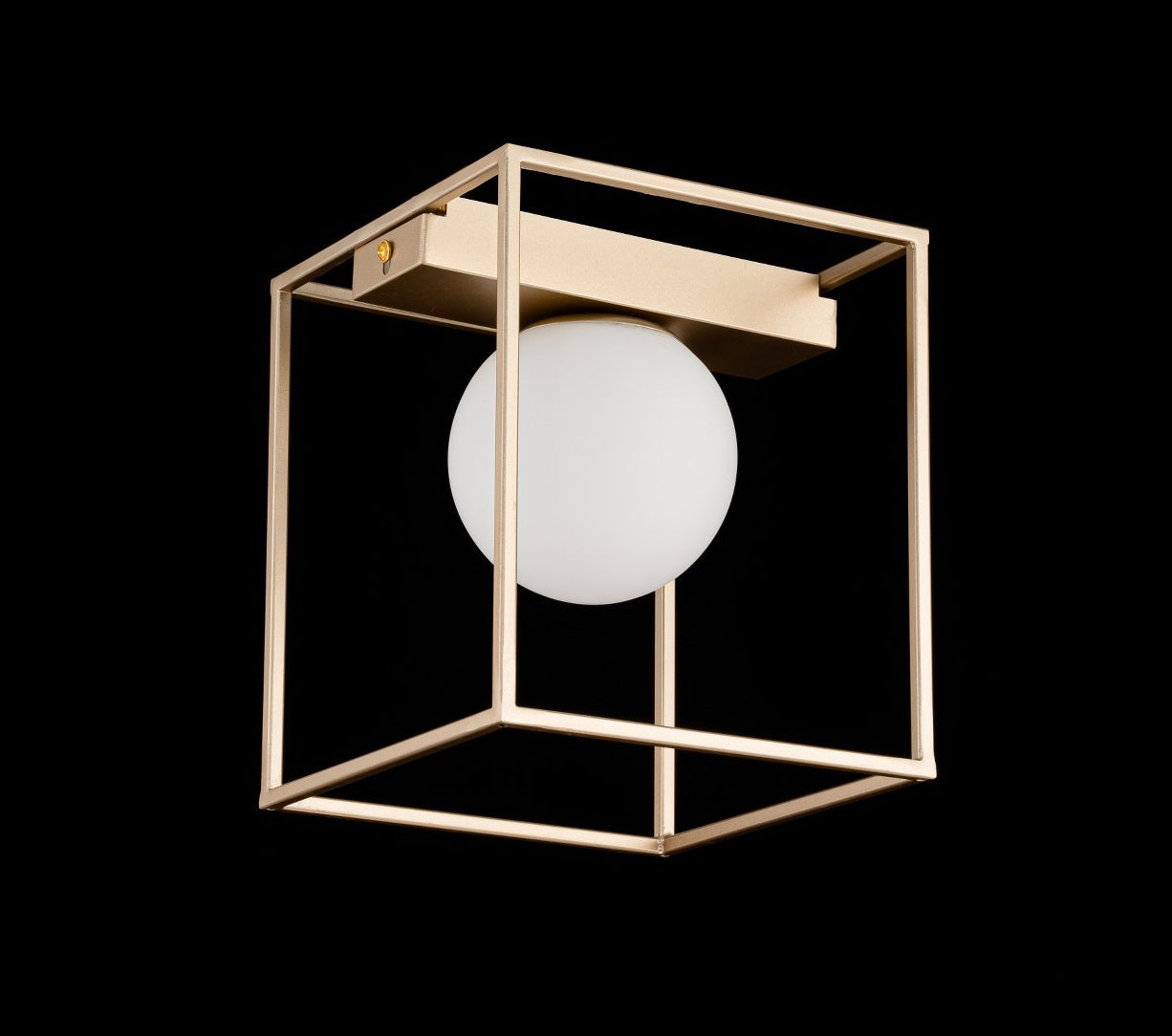 Lámpara de techo MONER - LP5094-1C