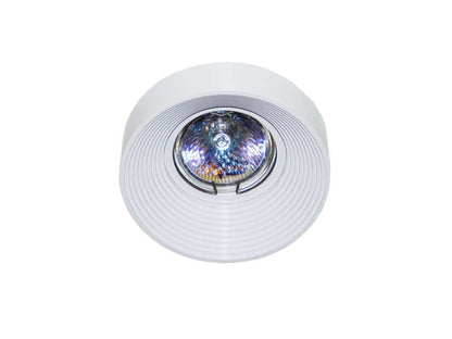 FOCO DOWNLIGHT LP843